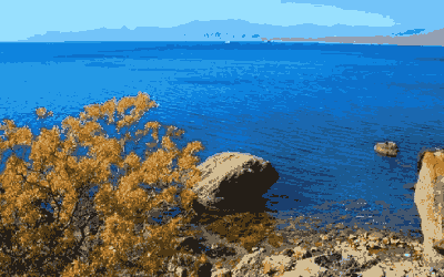 一对一上门辅导，为孩子的未来保驾护航✨